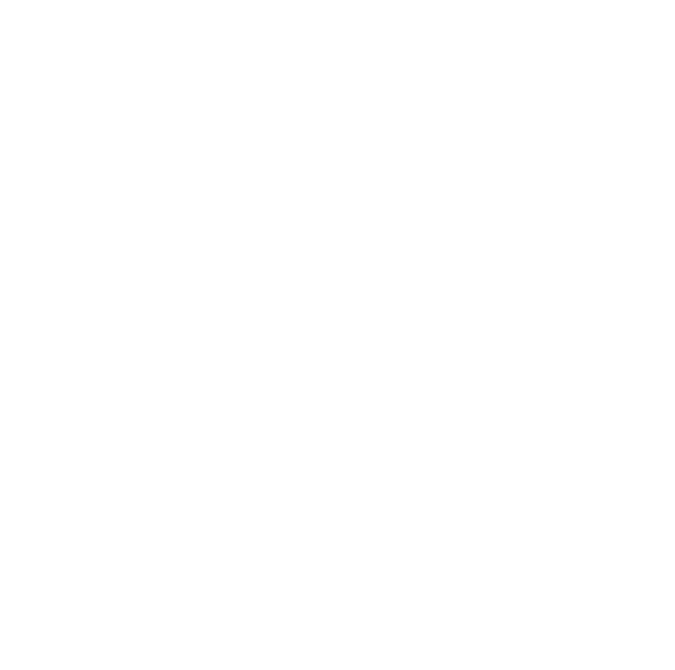 RIF 20 year anniversary logo white